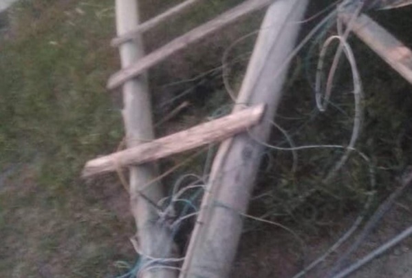 En Villa Elvira los vecinos manifestaron que se han caído dos postes de luz y nadie fue a repararlos