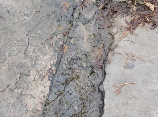 En 24 y 36 alertaron por un "río" que ya genera verdín en las veredas