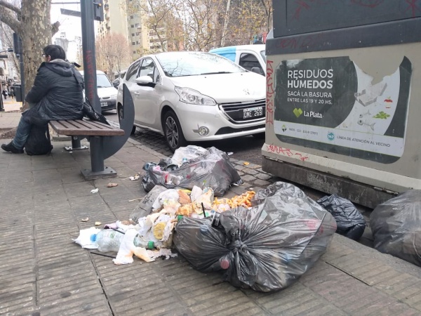 Denuncian un basural en pleno centro de La Plata: "Hay un olor terrible"