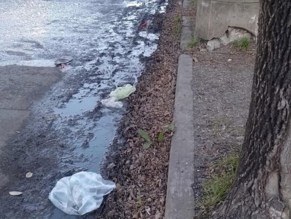 Barro y verdín: una combinación perfecta para resbalarse en 85 entre 12 y 13