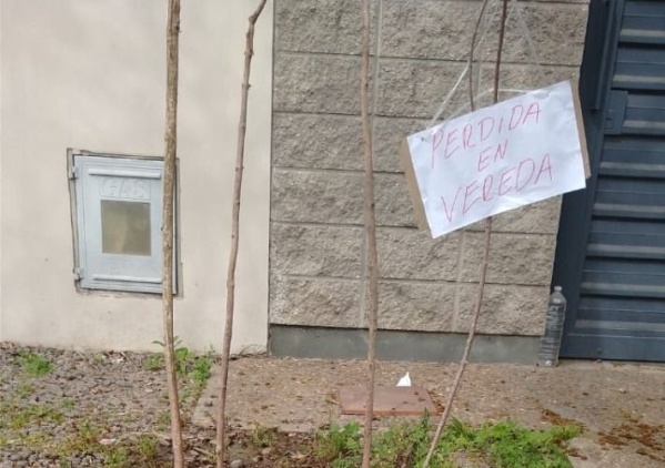 Vecinos de Tolosa piden que reparen un caño pinchado que desperdicia litros de agua por día