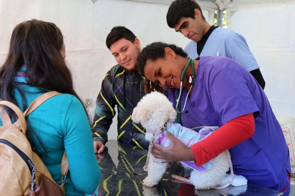 Pondr&aacute;n en marcha un nuevo centro municipal para mascotas en La Plata