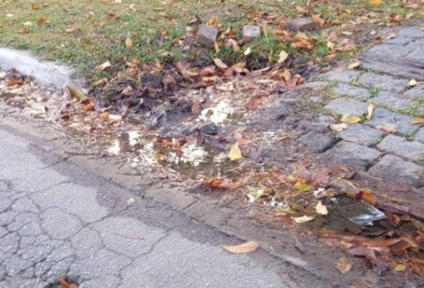 Vecinos de City Bell exigen el arreglo de una importante pérdida de agua