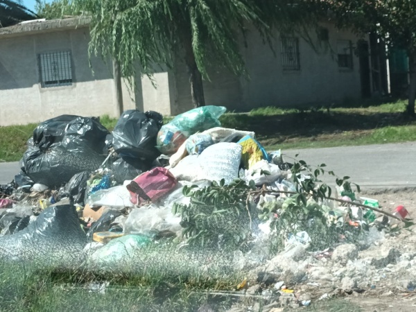 Tras convivir con una montaña de basura, en Los Hornos pidieron a ESUR la colocación de un contenedor