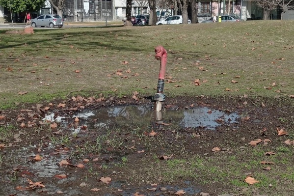 Denuncian una pérdida de agua en Plaza Malvinas desde hace cinco meses: "Es un criadero de mosquitos"