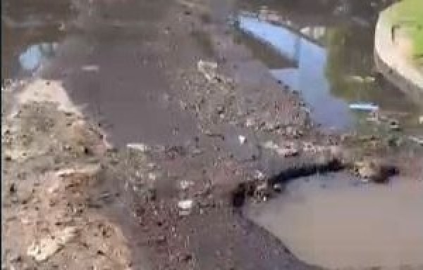 Vecinos de un barrio platense denunciaron un desborde cloacal: "No se soporta más"