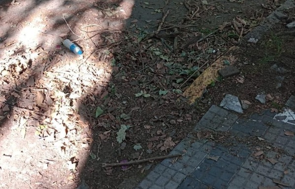 Vecinos reclaman la falta de limpieza en 115 y 46: "Hace tres meses que no vienen"