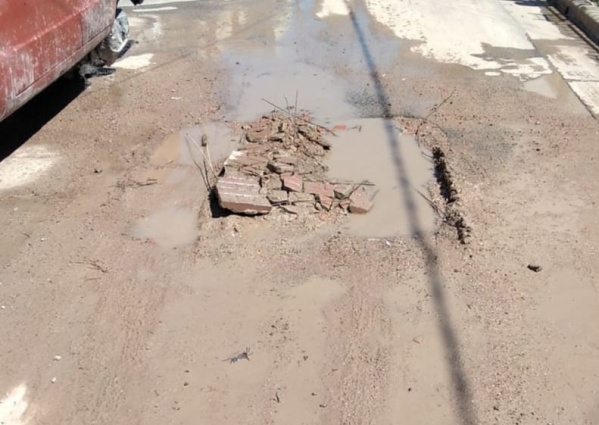 En 1 bis y 76 los vecinos conviven con un importante barrial que se llena de mosquitos