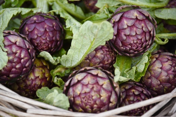 El Municipio lanz&oacute; un circuito tur&iacute;stico para conocer la g&eacute;nesis de los alcauciles y la cerveza artesanal de La Plata