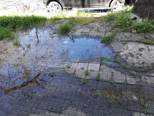 Vecinos de la calle 15 entre 70 y 71 reclaman por una pérdida de agua
