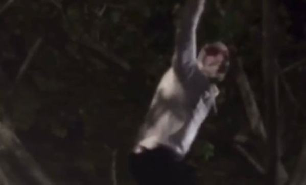 &iquest;Spiderman es de Estudiantes? El video que da vuelta las redes