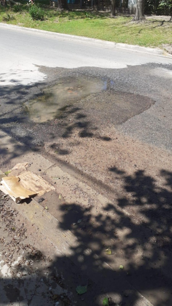 Vecinos de City Bell reclaman por un bache en la calle