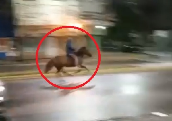 A rienda suelta en La Plata, escap&oacute; de la polic&iacute;a montado a un caballo