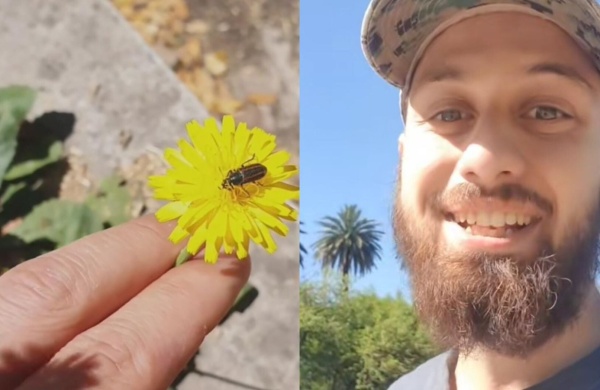 “Hasta los bichitos lo siguen”: un platense entusiasmado por la vida natural se convirtió en el "maestro ciruelo" de muchos