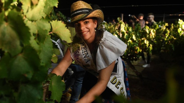 Seg&uacute;n un informe oficial, las mujeres rurales lideran una de cada cinco pymes del sector primario en el pa&iacute;s