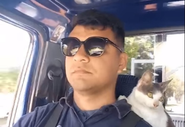 El amor incondicional entre un camionero platense y el gato que encontró abandonado que lo acompañó en sus viajes
