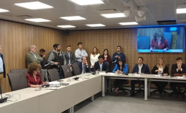 Un proyecto que contempla el deporte como política de Estado avanza en Diputados: "era necesaria una mirada federal"