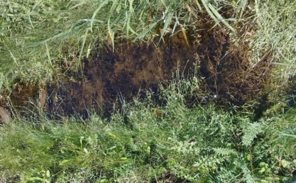 En Arturo Seguí piden que destapen las zanjas con agua estancada: aseguran que se está generando una colonia de mosquitos