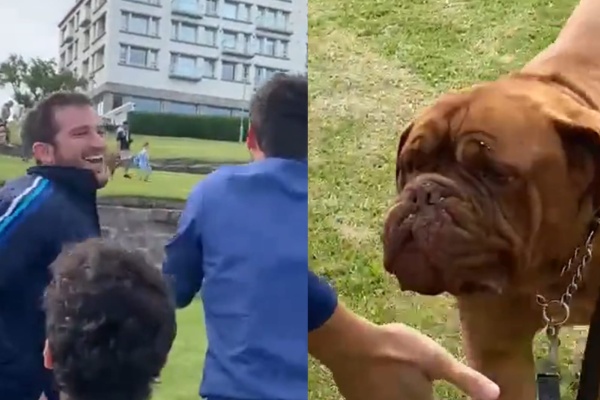 "Es el perro de Messi": hinchas argentinos encontraron a una mascota similar a la que tiene Lionel y le dedicaron un tema