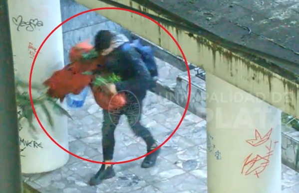 Robaba plantas en La Plata y lo atraparon in fraganti: tuvo que devolverlas