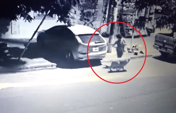 Rompe plantas, raya autos y anda custodiada de dos perros: la misteriosa mujer que tiene en vilo a todos en El Mondongo