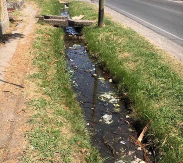 "Hay una zanja llena de agua estancada": en Gonnet piden por una mayor limpieza en la zona