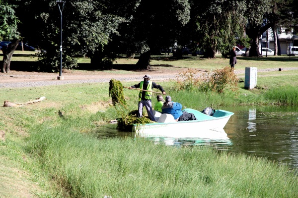 Con la ayuda de la Asociación de Pescadores con Mosca de La Plata, la Municipalidad limpió el lago del Parque Saavedra
