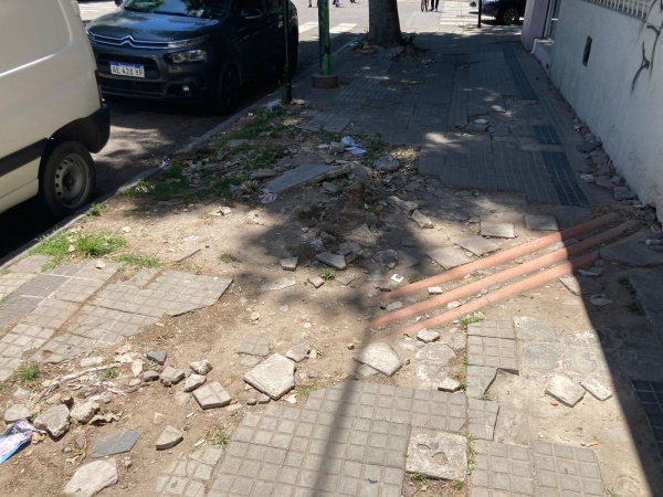 Llevaba a su abuela al m&eacute;dico y se sorprendi&oacute; con el estado de una vereda:"Desastroso transitar por ac&aacute;"