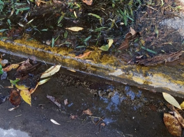 Brota agua de la vereda de 464 y 13c: "Esperamos respuestas del municipio"