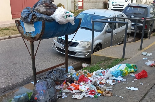 "Esto pasa todos los d&iacute;as": Vecinos de Villa Castells reclaman por un basural en la puerta de un jard&iacute;n