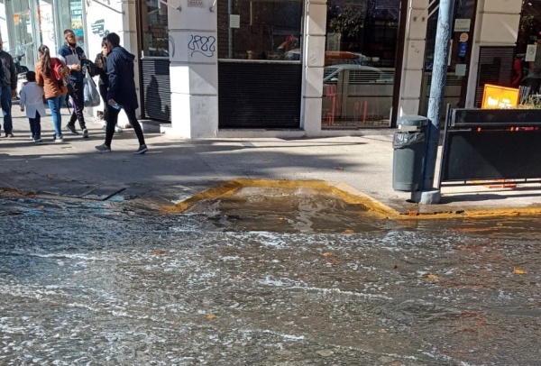 Vecinos del centro platense denuncian una "laguna" en el medio de Plaza Italia