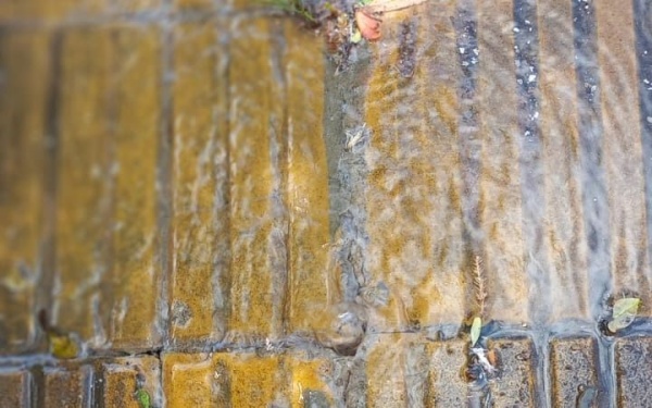 Vecinos de 66 y 30 piden que se repare una pérdida de agua