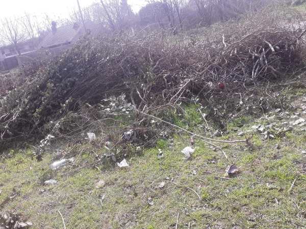 Vecinos de Olmos denuncian "abandono total" por la falta de recolecci&oacute;n de ramas y basura