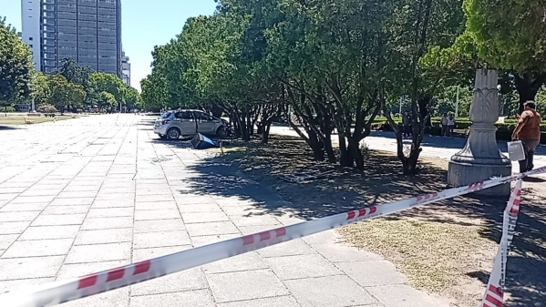 En Plaza Moreno un automovilista muri&oacute; tras descompensarse y chocar contra un &aacute;rbol