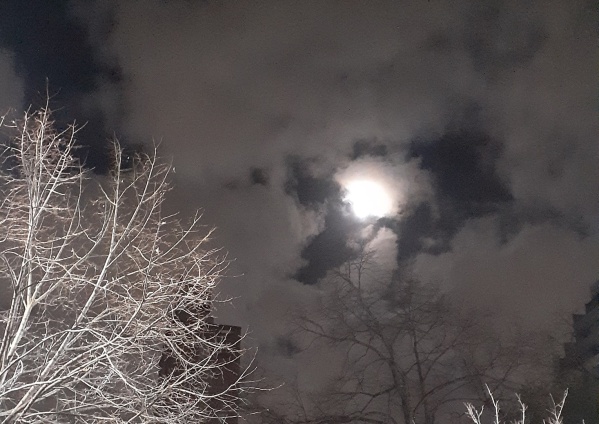 &iquest;Qu&eacute; vio? La inentendible imagen en el cielo que viraliz&oacute; una platense: "Como no veo un pingo, todo puede ser"