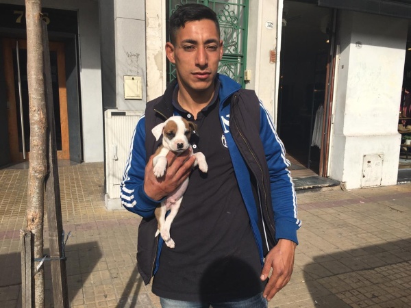 Amor del bueno: trabaja de trapito en la calle junto a su perrito y le armó una casita para poder cuidarlo