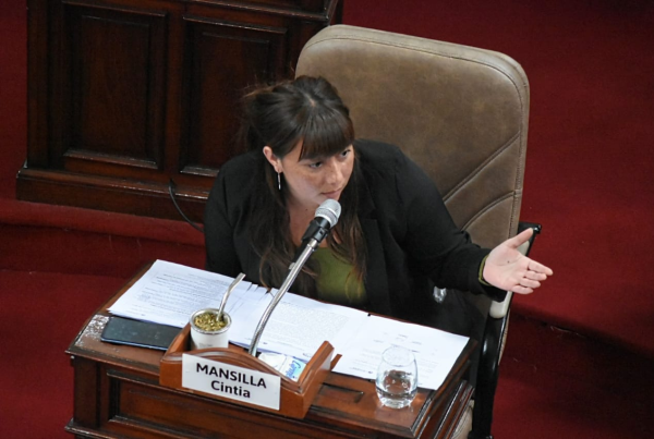 En el debut de la transmisión oficial, el Concejo Deliberante de La Plata tuvo un caliente debate por el recorte de empleados