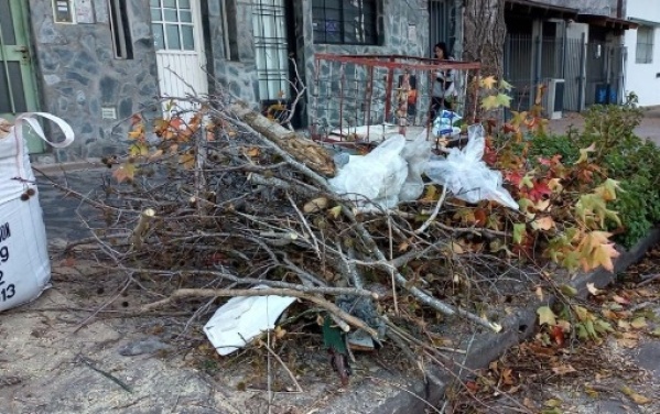 Vecinos de La Loma reclaman por una "tala indiscriminada de &aacute;rboles"