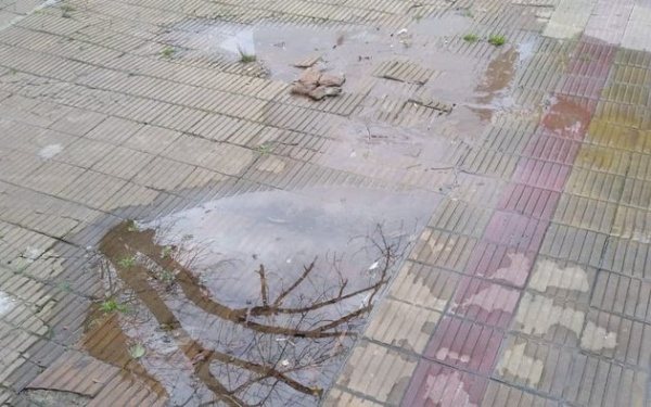 Vecinos de calle 2 y 38 reclaman por una pérdida de agua: "Está así hace más de un mes"