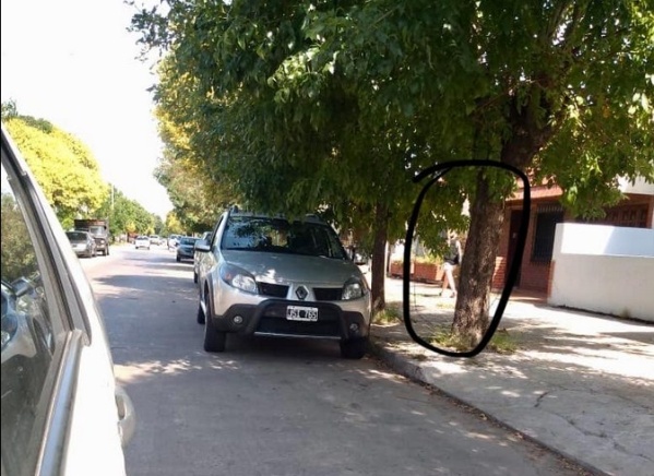 Choc&oacute;, hiri&oacute; y huy&oacute; en La Plata, ahora la buscan: "Sali&oacute; corriendo"