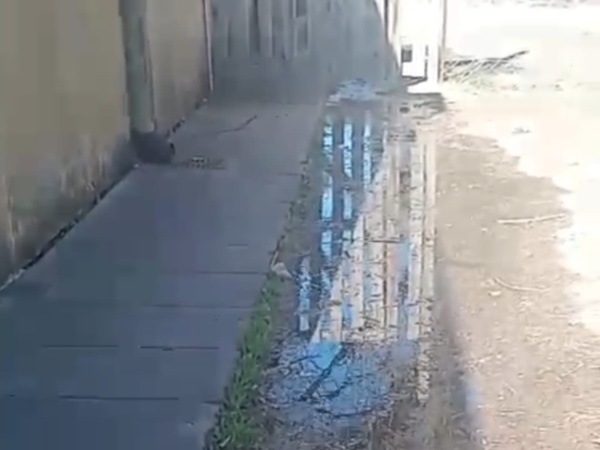 Alumnos de la Escuela 51 de Los Hornos llevan un mes sin clases por problemas en los baños