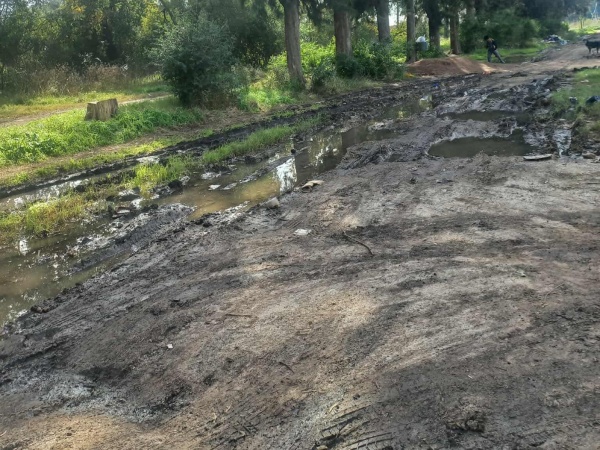 Nuevas piletas en Romero: vecinos reclaman por el mal estado de las calles en La Plata