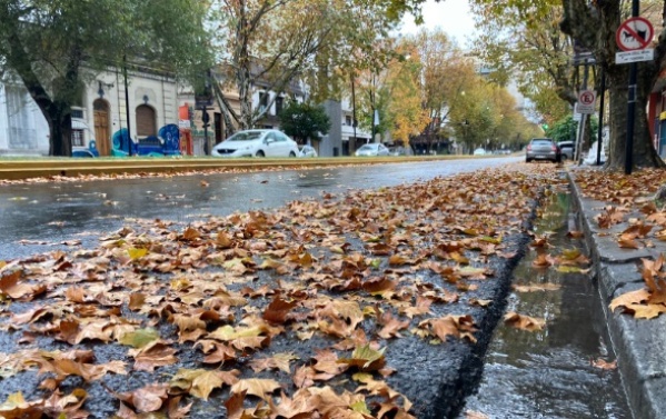 "Seguimos en la misma": Malestar entre los vecinos del casco platense por la falta de barrido