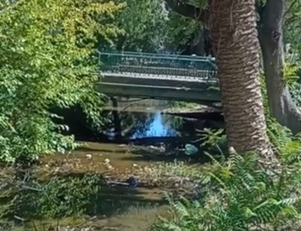 Vecinos piden que se limpie el canal que rodea el Teatro del Lago de La Plata