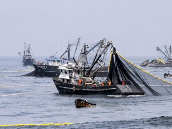 El Gobierno da marcha atrás y reformulará la regulación de la actividad pesquera en la ley ómnibus