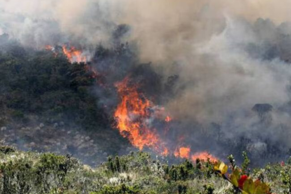 Enorme incendio en la frontera entre España y Francia: fueron evacuadas más de 130 personas