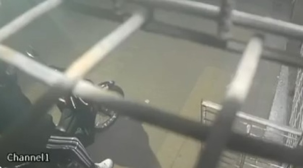 Delincuentes robaron en un almacén de La Plata durante la madrugada