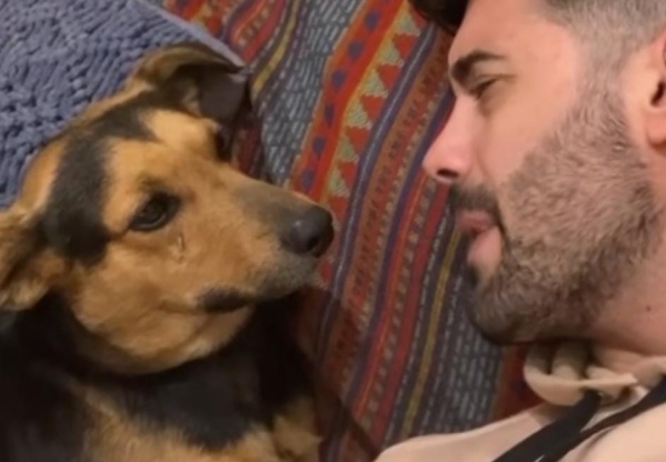"Son maravillosos, claro que entienden todo": tuvo un tierno momento hablando con su perro y enamoró a sus seguidores