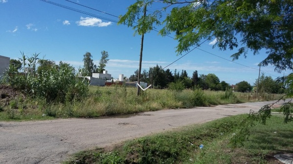 Vecinos de Los Hornos reclaman por un poste caído y un cable que cuelga en medio de la calle