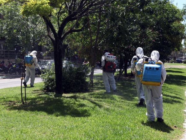 Se declaró el brote de dengue en La Plata y hay alerta tras la confirmación del caso 103